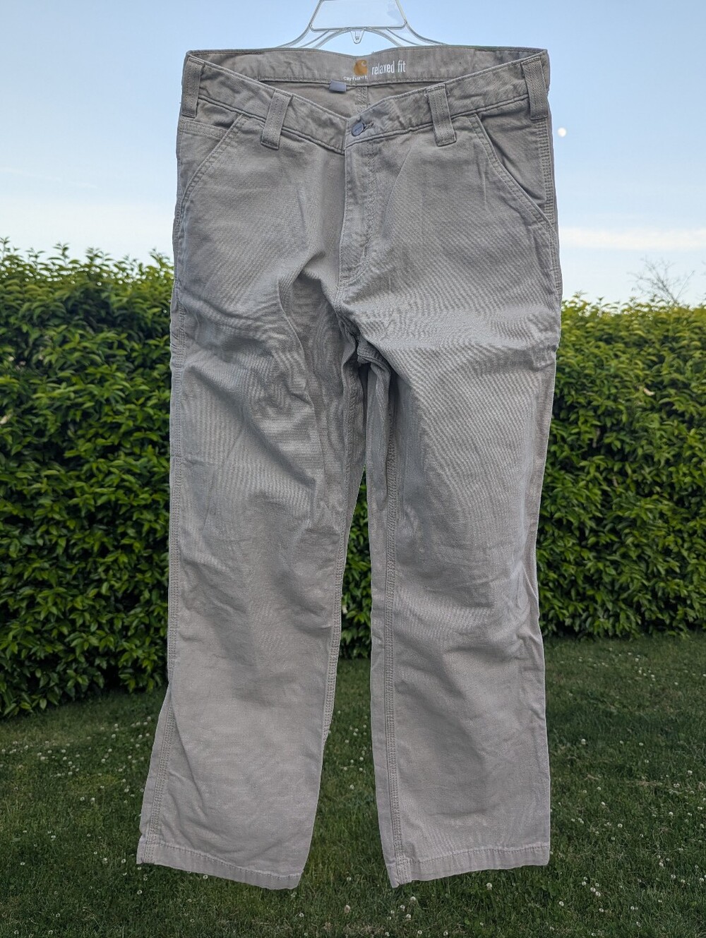 Carhartt Men's Pants